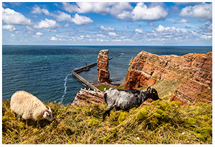 Die Insel Helgoland